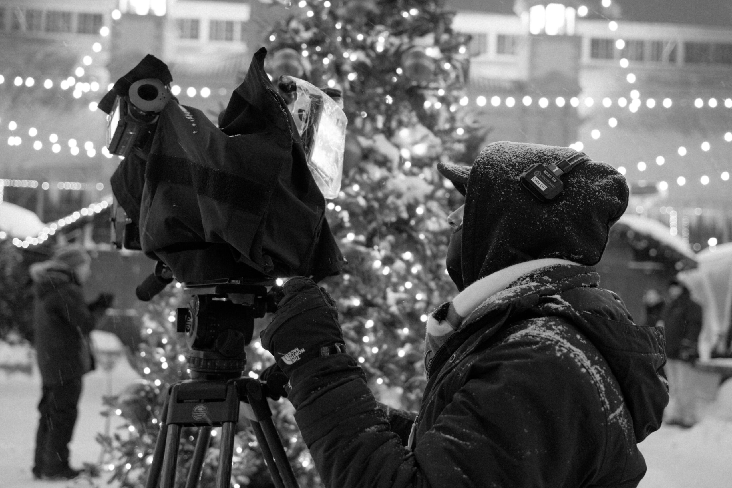 melt bts 26